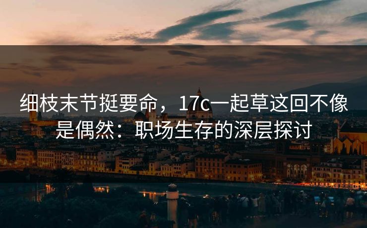 细枝末节挺要命，17c一起草这回不像是偶然：职场生存的深层探讨